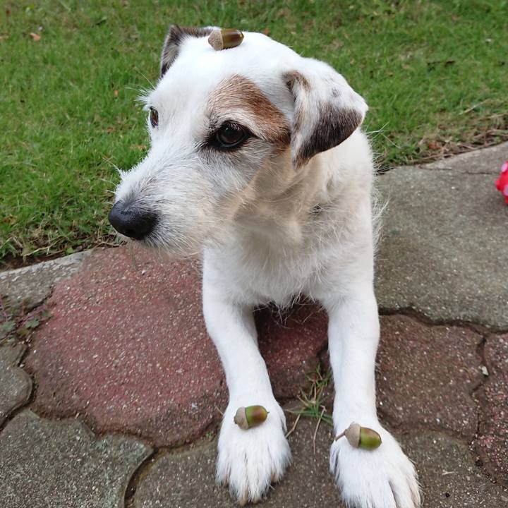 021e3eb5 848a 45b8 aabf 5d68f95d7ca1 1538694705895