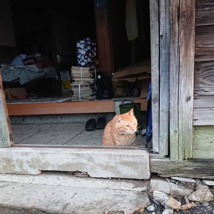 021e5279 d4c4 48a3 a539 c0aa74108f2e 1660686132098