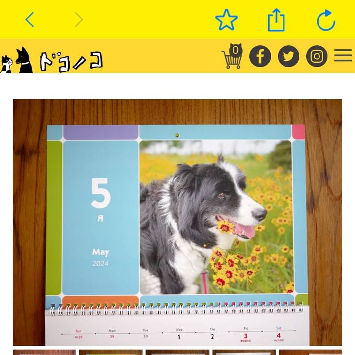 021e6f77 270b 48ac 950a 032c7dfe51a9 1708488895858