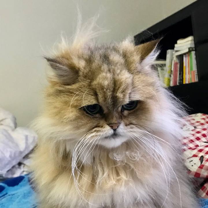 021e859e fc5f 4843 8bcb 652650f02031 1555556408939