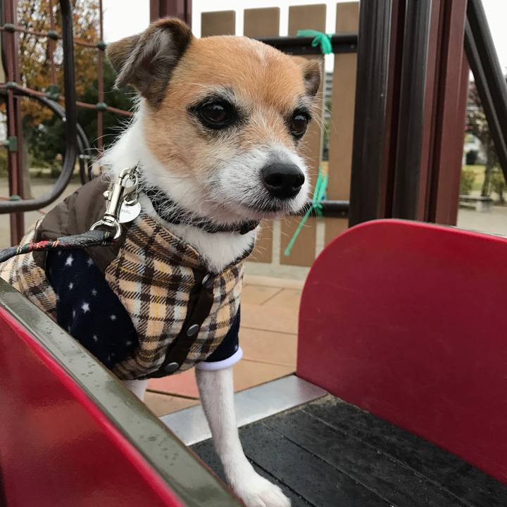 021f0c91 2258 43b8 8b75 59c70ba64720 1575673224428