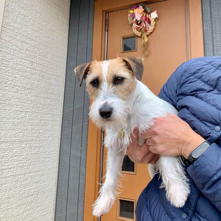 021f17ff 4fa1 4d52 9b8a c7cb01df62ac 1609218199701