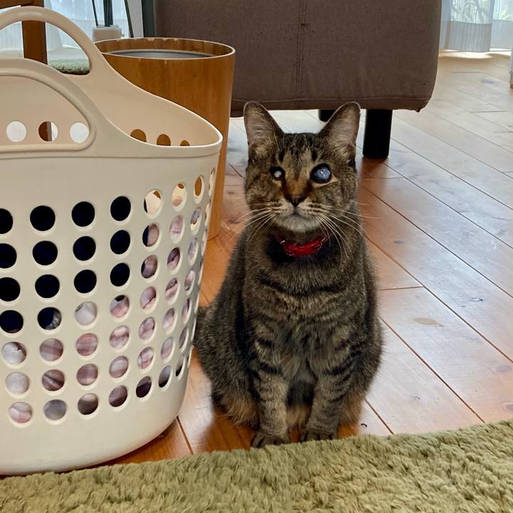 021f9bc7 74ef 45ba 9a3b 0d9937705a5e 1653888145157