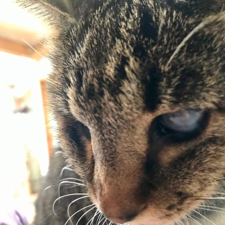 021fc424 3a42 4c54 8f84 247fb606cbf9 1607918773690