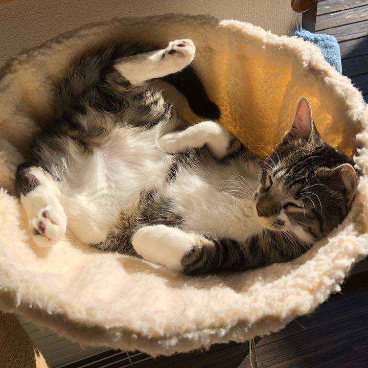 021fc835 1bc0 45a7 b442 a74ad4031422 1645764338367