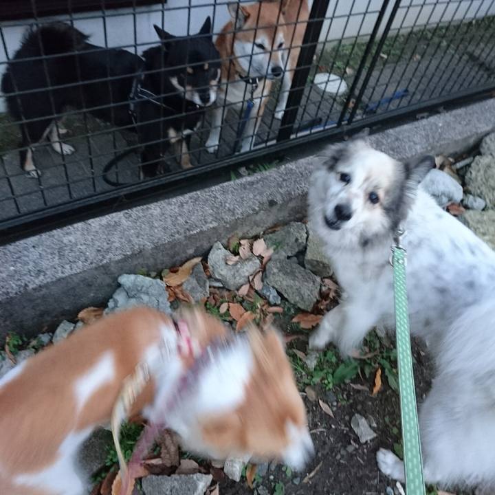 021fcc6f df8f 471a 81b3 b27c360772d6 1512731255151