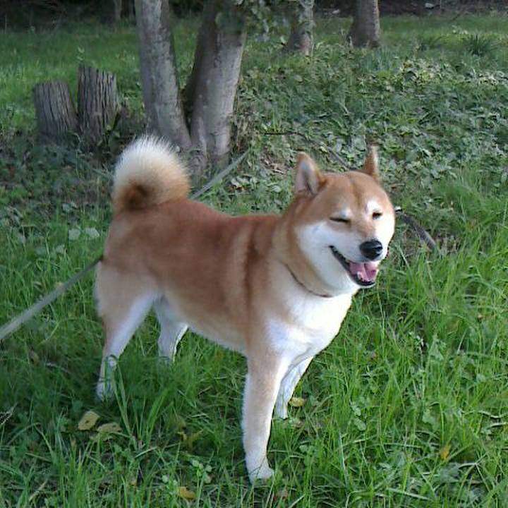 021feaf9 bb35 4687 a9e1 9b041779c334 1510207432042