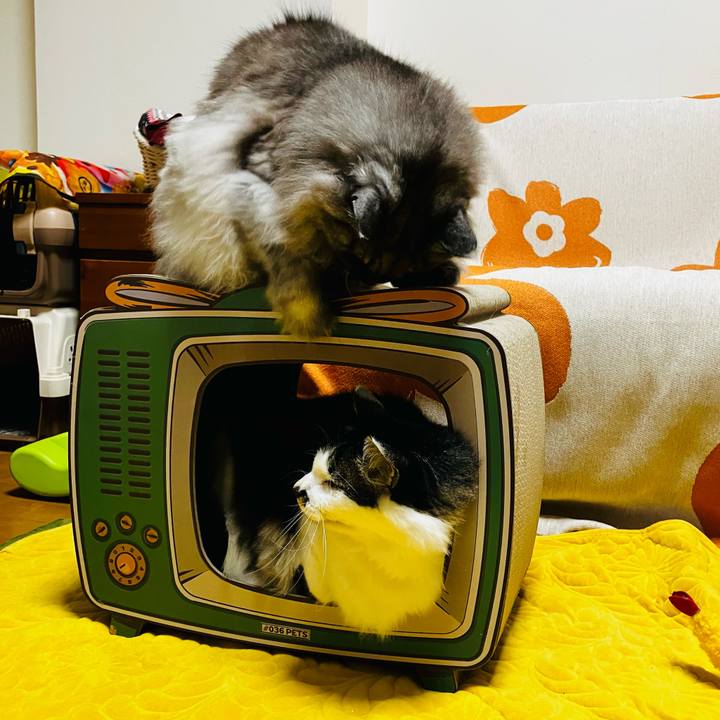 0220019b 7fc3 4ce3 a55c 65433704c551 1736288963328