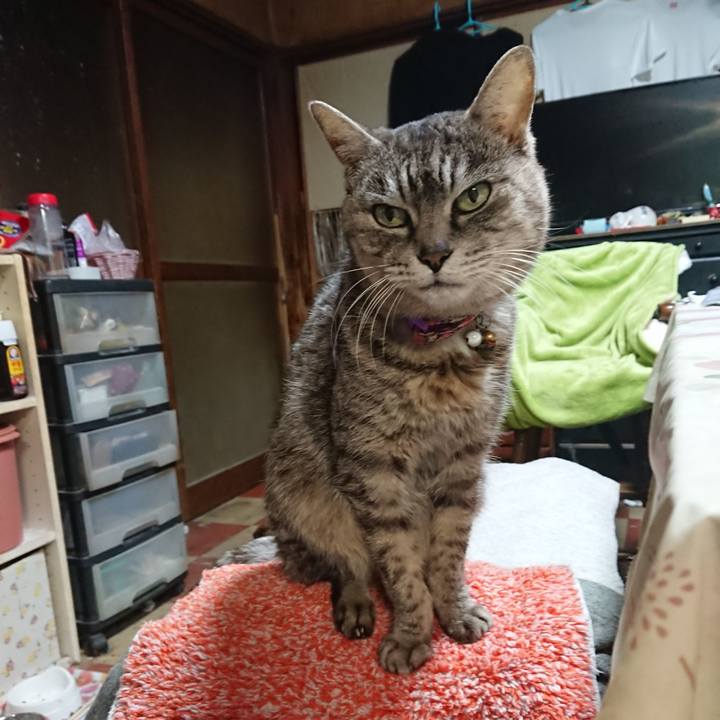 0220246c bc06 472b b031 ba0f49527fb8 1582746961694