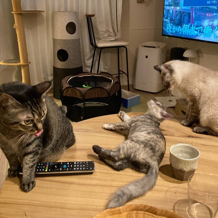 02202ae2 7f96 4355 8d2b 01cf255d3ca6 1695204421344