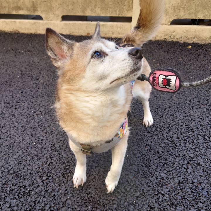 0220396d 2ea9 46c6 abae 1df029d6bb8a 1704545890182