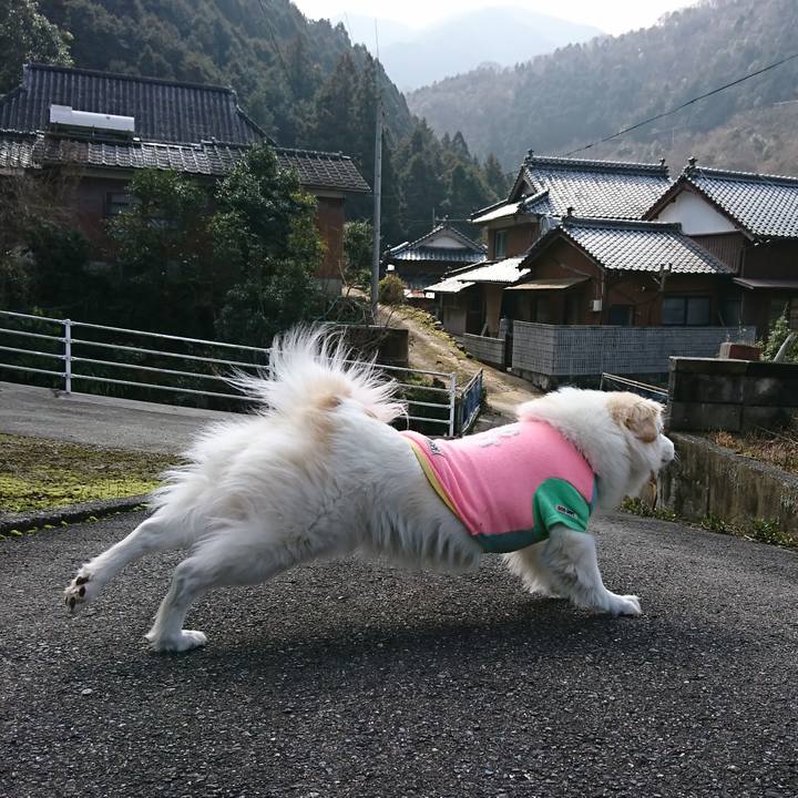 02204b5e dc45 441a 9882 dc74ff7104a3 1551407722378