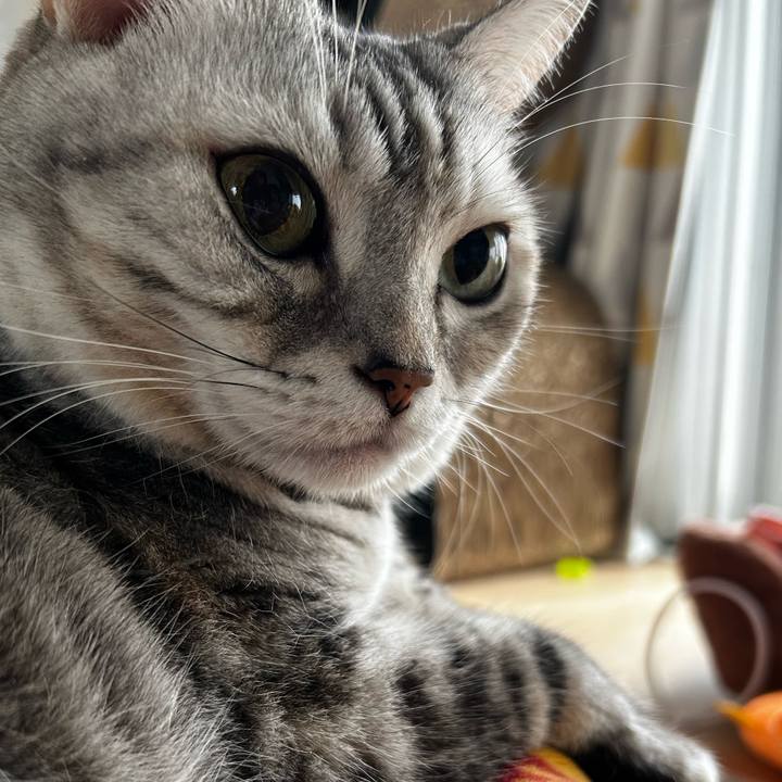 02206d6c dc7f 42d4 b17e cd4823034ef4 1760145966709