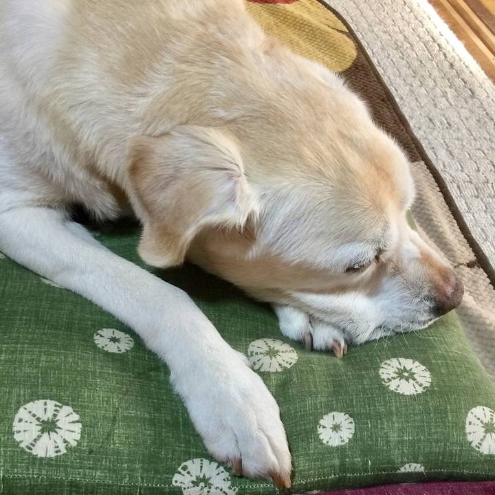 02208053 3663 4f6b 8cfa abc3936f849f 1547609395294