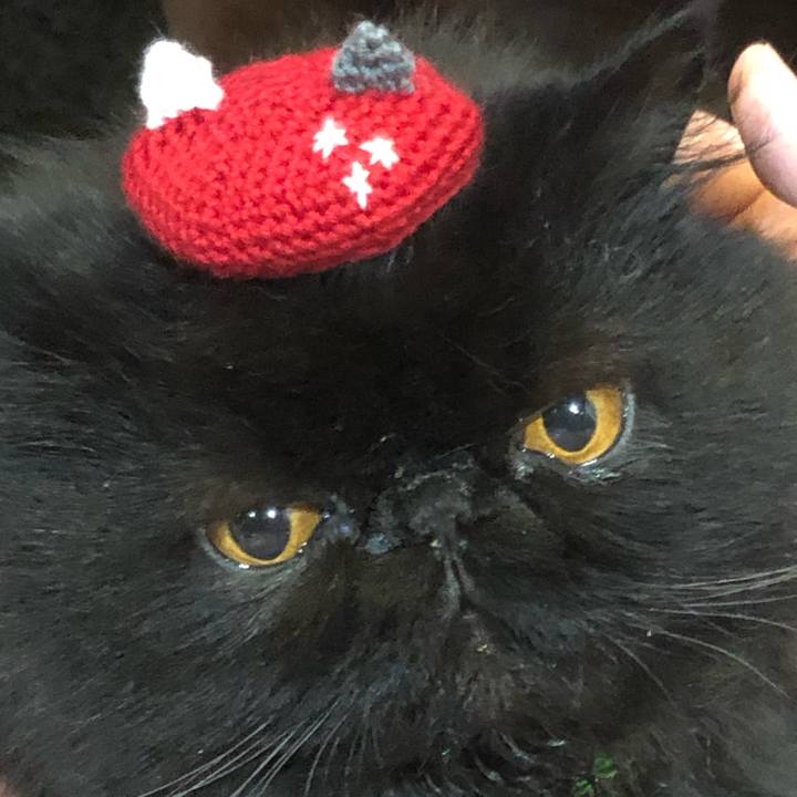 02210e5b 2f11 4ef2 a3c9 0926ebd0de59 1671878127823