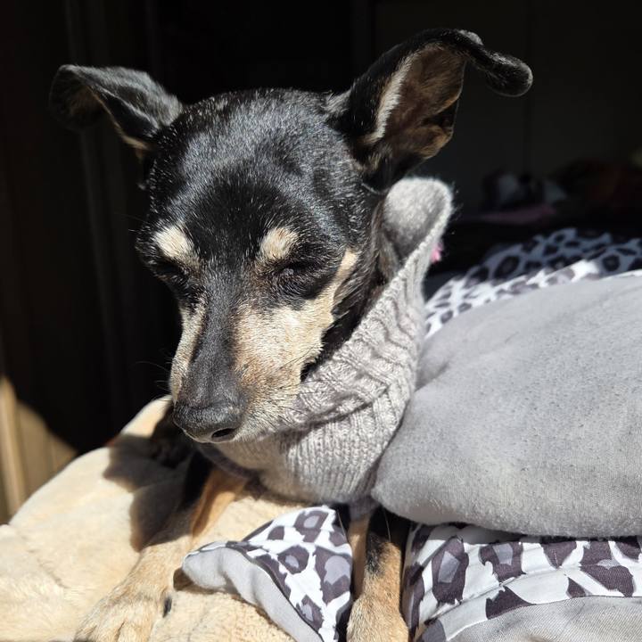 02211309 2c34 4631 bbbb 14882fc6d9dd 1770613002731