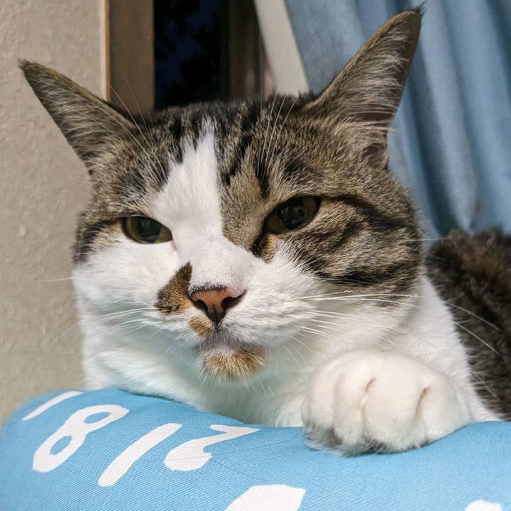 022128aa 40fe 4256 b4ba d07d62ccc9c0 1686478958561