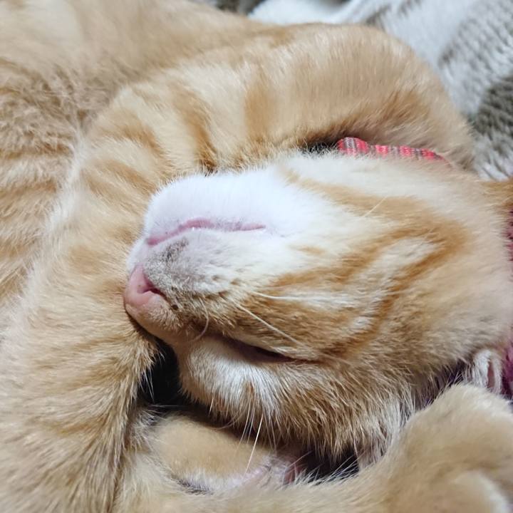 02216688 b537 420f af65 2ef93ecc14a1 1633871444345