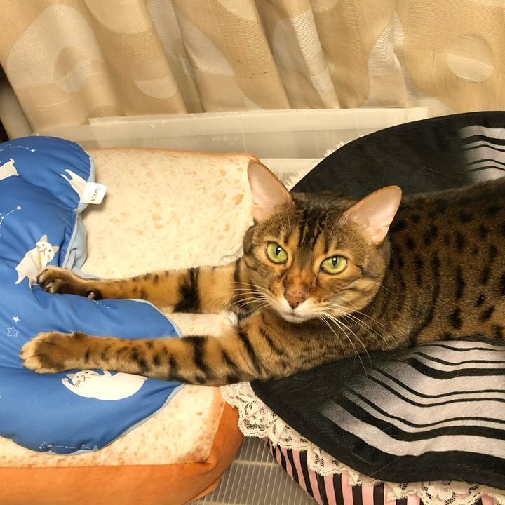 0221b00e 41d3 4366 9341 3059813cd6eb 1620690110962