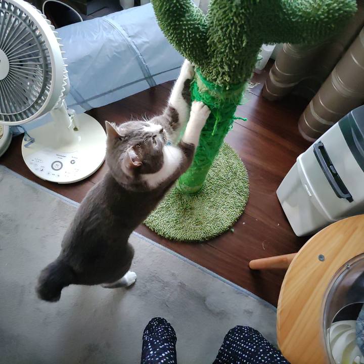 0221c18e 4e2e 4074 8dcd 425c86514626 1686008743517