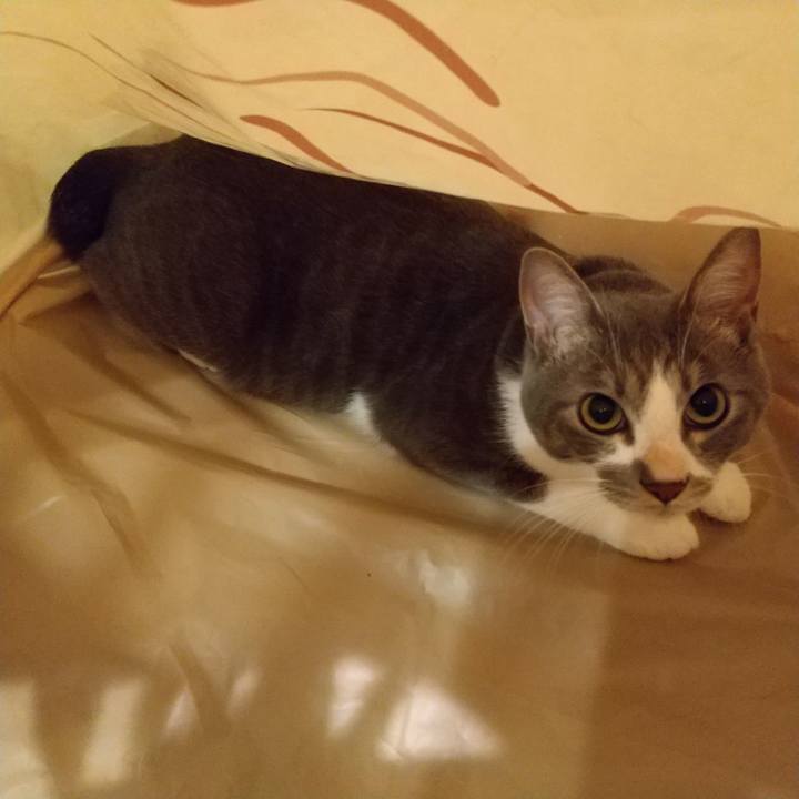 0221e508 1583 43ba 9c3f 5430c77ac70f 1596551393044