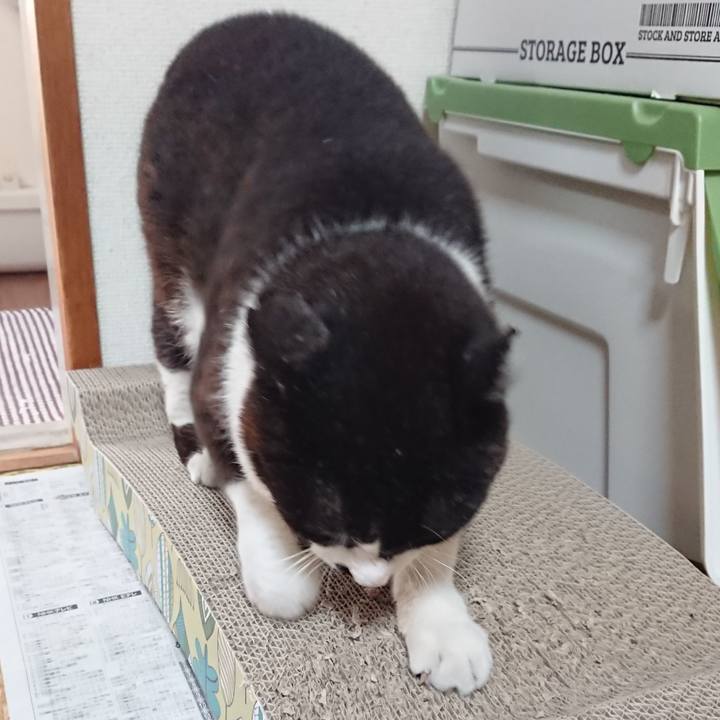 0221ef65 04f5 4915 a0ff 5049a74e5565 1656628288778