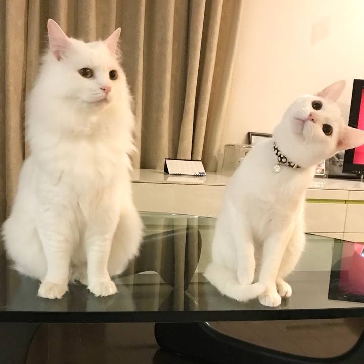 0221f591 c933 4b97 9006 b8b796885168 1584447228381