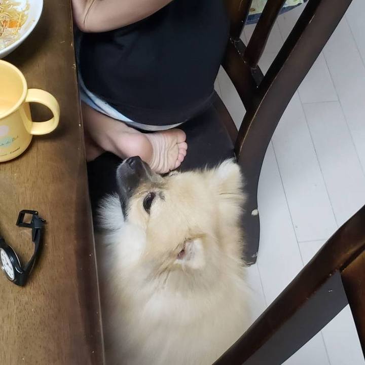 022230d6 bc9e 41f4 8b66 743d6a72dc49 1628309066925