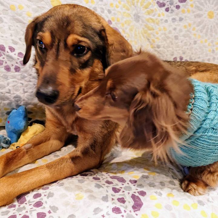 022231c4 5902 452b 801a 32f8885a328e 1740746747465