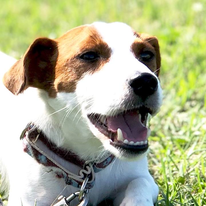 022232d2 14d0 4941 bd4a 4aa31f13080b 1548492934493