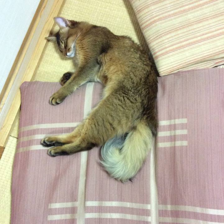 02224030 af68 4c4c a07d 846f55a22660 1565085023987