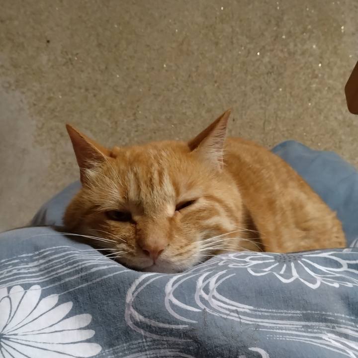 02225bf4 66d7 4b2d aa1f a29e3e3b97d9 1719754598462