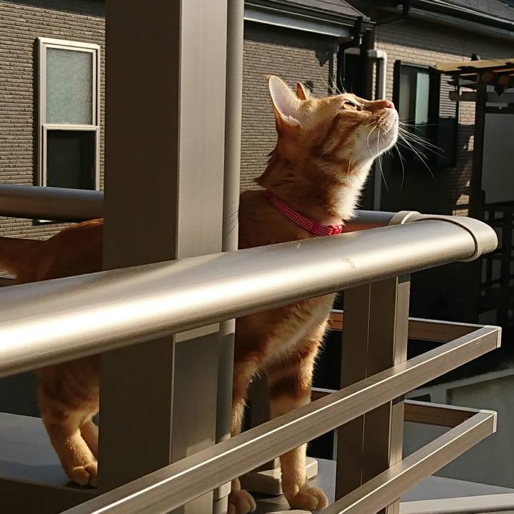 0222bb09 e7e3 4c5a 9be7 01daba8bfff0 1509872031728