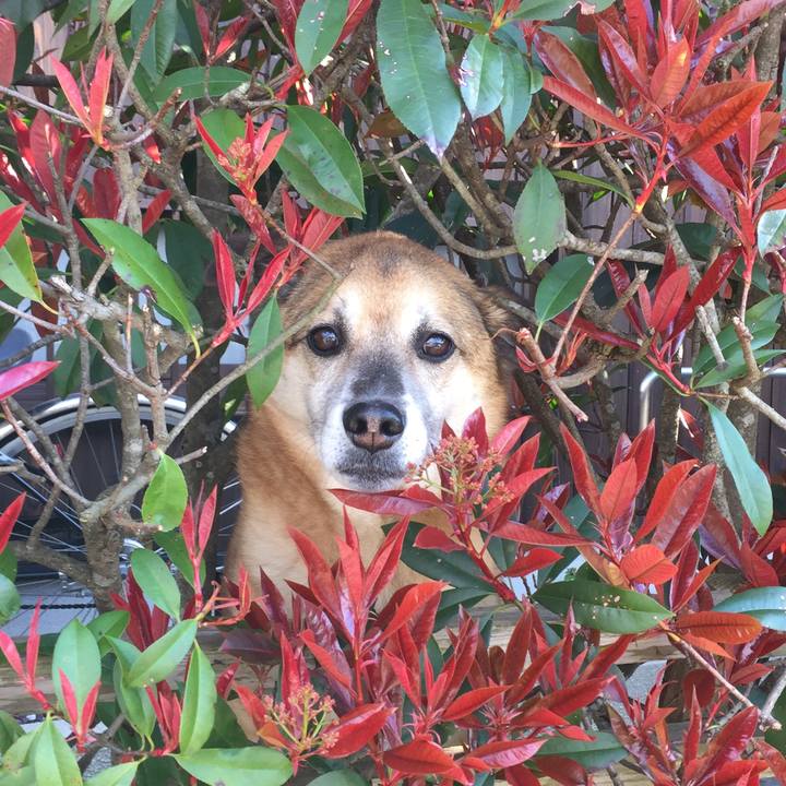 0222e4e8 ec35 43c2 a72e 356f88abf1ab 1586076788736