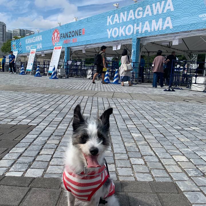 0222fb31 b341 436d a570 5b0cd4160112 1569733889889