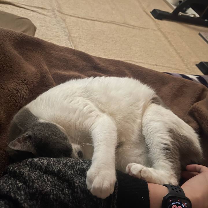 02233e9d 5f18 455a 9ee3 7fad34968c62 1669506007145