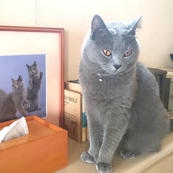 022378f2 4f0f 44a8 ac74 6ce6da4dc88b 1595392783539