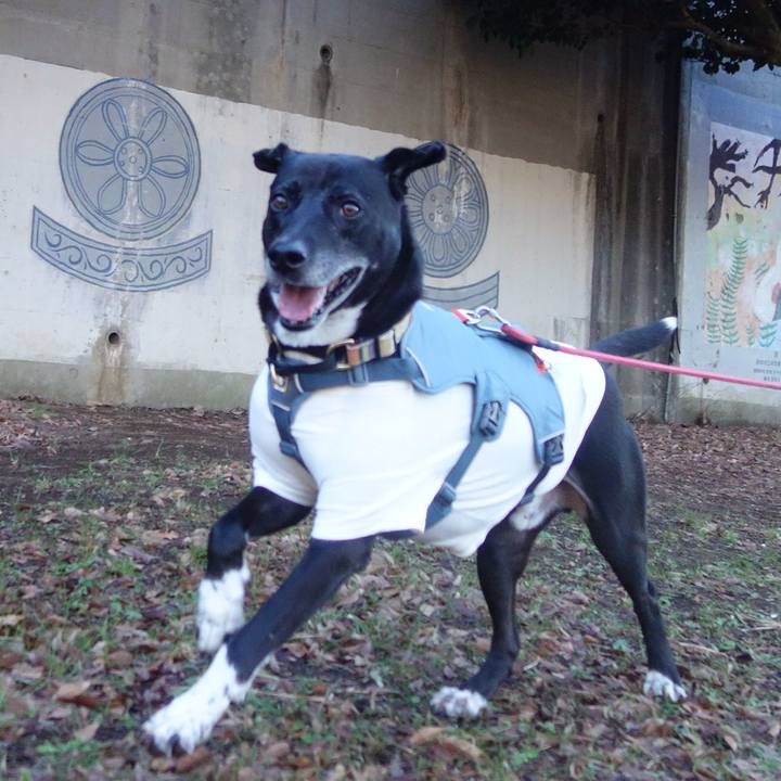 02239bc4 9d79 41f1 9b31 5486affe7d78 1704415088467