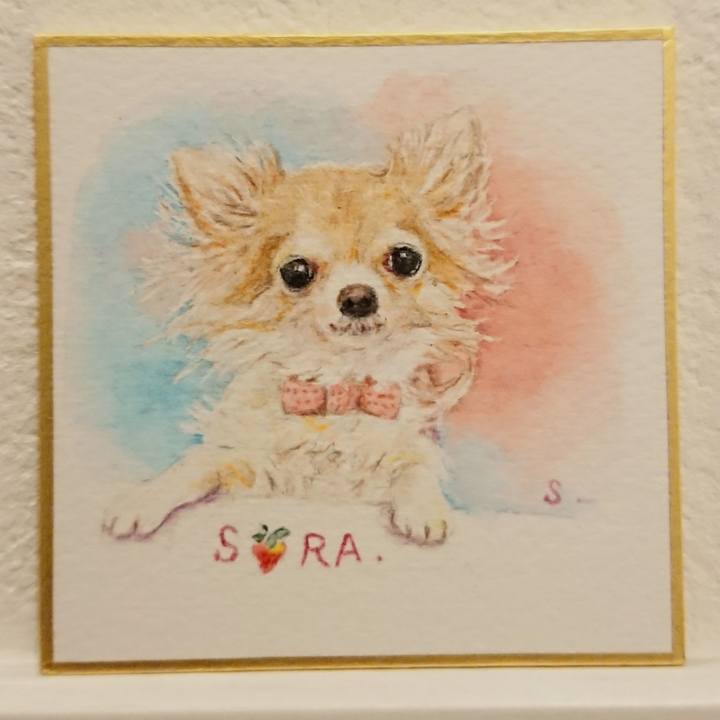 0223e7cf bc0a 464c 805f 15d7f7766fb7 1585737575646