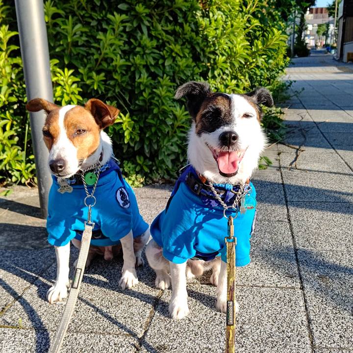 02240ef9 b4bb 41c8 9436 d2a86efd5de8 1627162555841