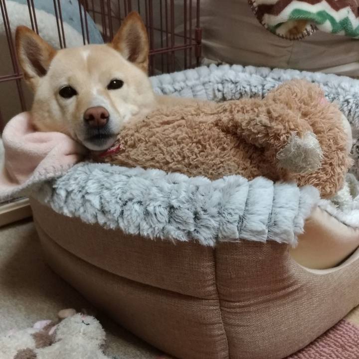 02243335 9353 4074 b844 db558c23b4a4 1580989007433