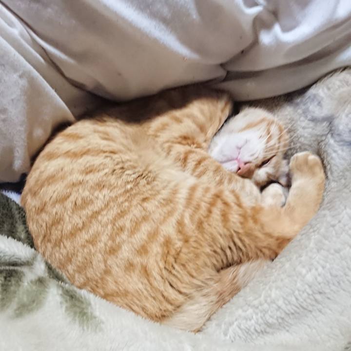 02249032 09c5 4b26 8ad4 ffc028504946 1649507179074