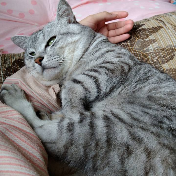 0224b41c ac26 4d74 8186 858e219832bf 1625641757306