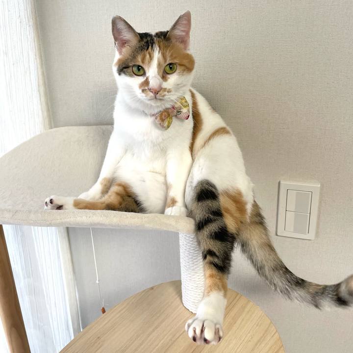 0224cb1f 5dca 4300 97dc 74fcfd74ac4f 1636600442982