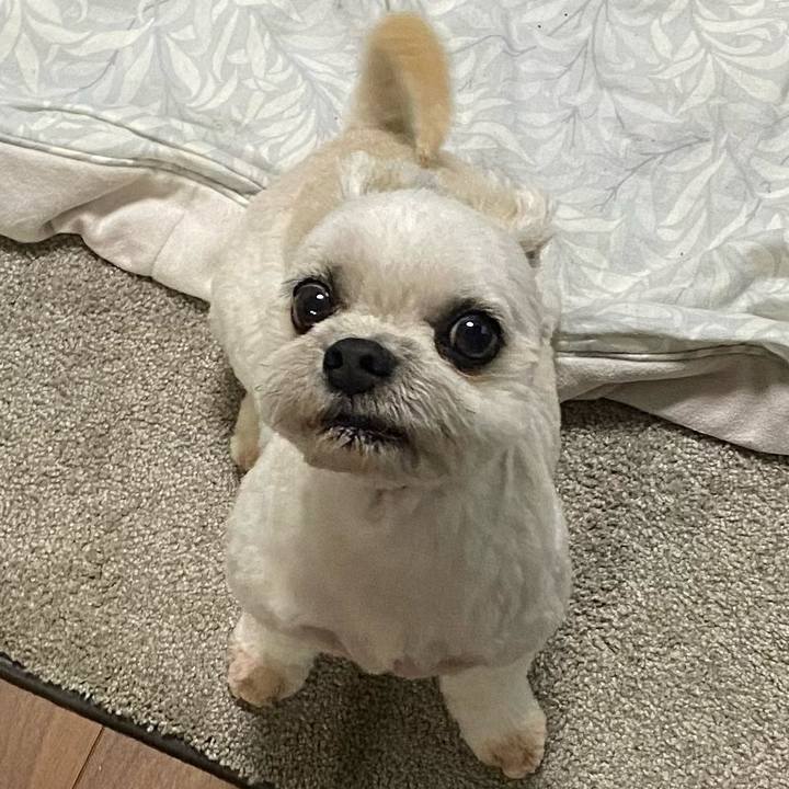 0224cdc2 3457 46d7 9baa 3f9b4770379b 1659140514572