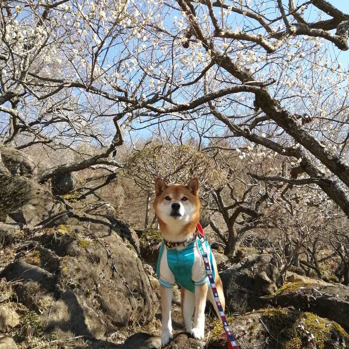 0224ce3c 393a 437a 9fb8 c922ba308c88 1645541847867