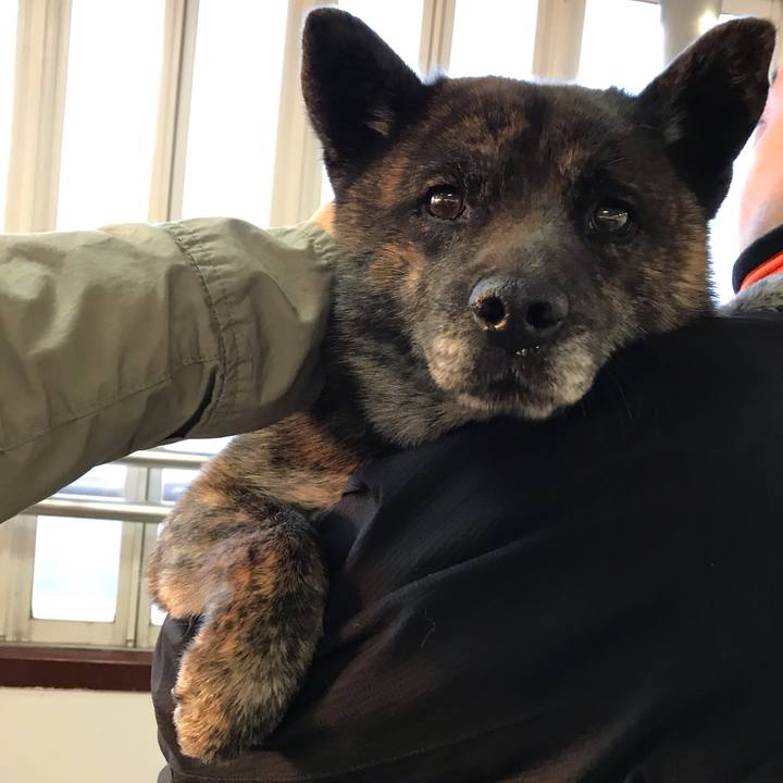 02250fd2 b34b 468e ba39 9e06dbd4be74 1556742339473