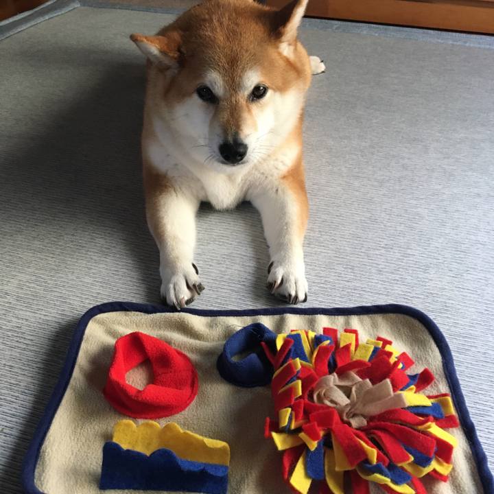 022513ff 2f3a 4758 8cd2 17eaf8e807c7 1594950123959