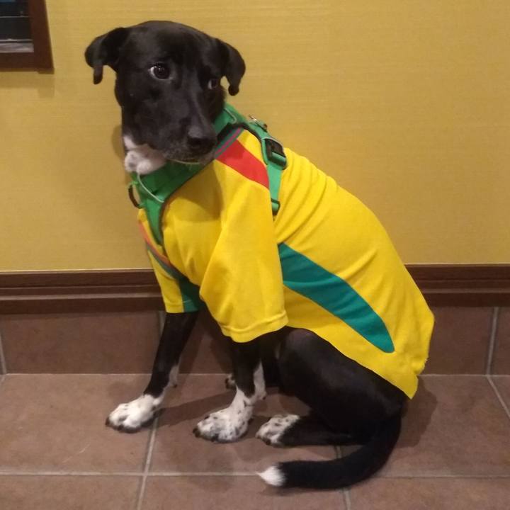 022515b8 21fa 4465 baa5 816484783d29 1592044383301