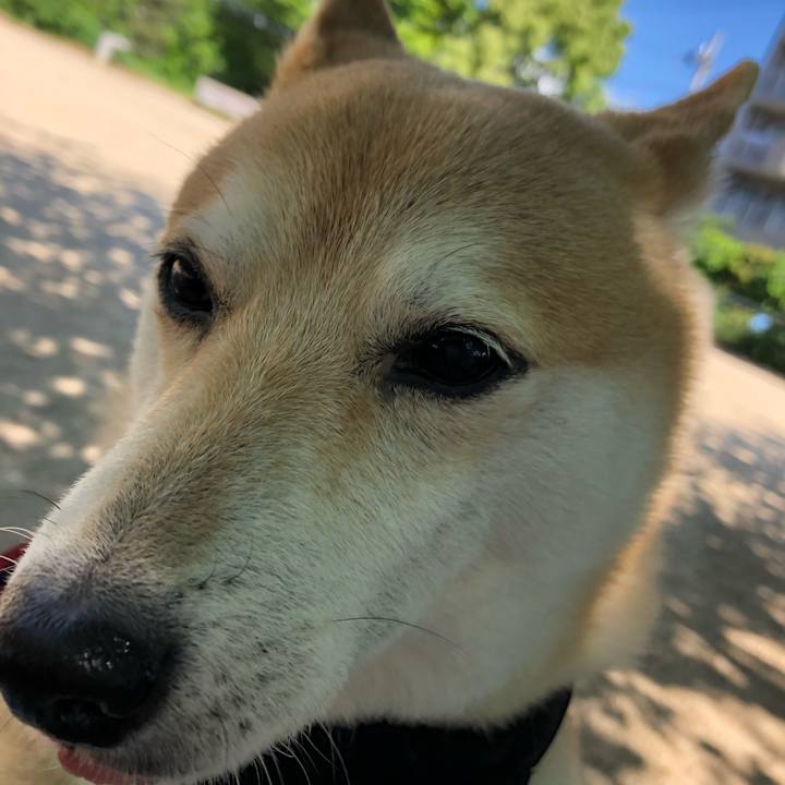 02254ca6 9f29 4e7c 92ea d87143662f30 1557292478990